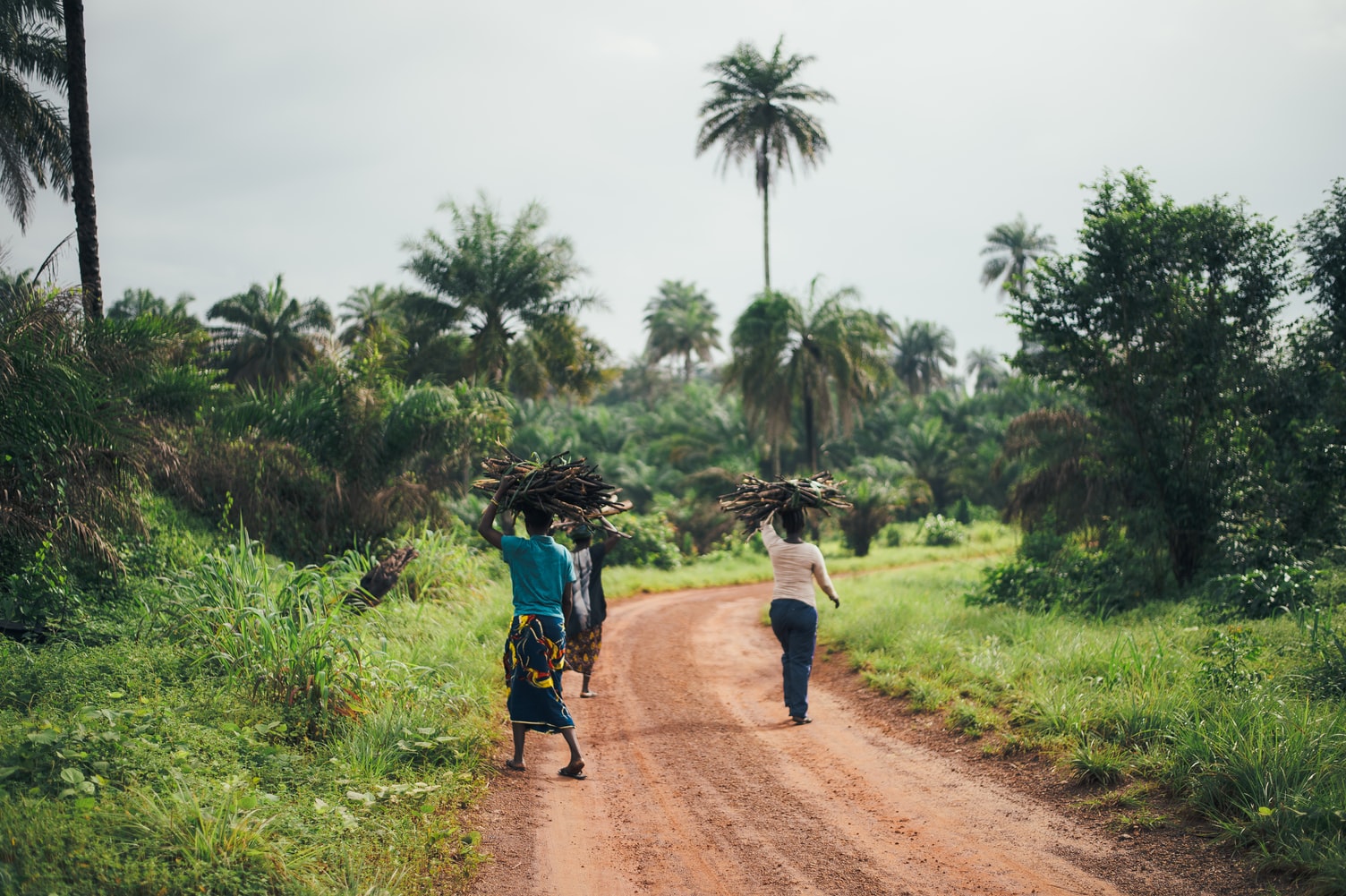 International Development. Source image: Unsplash